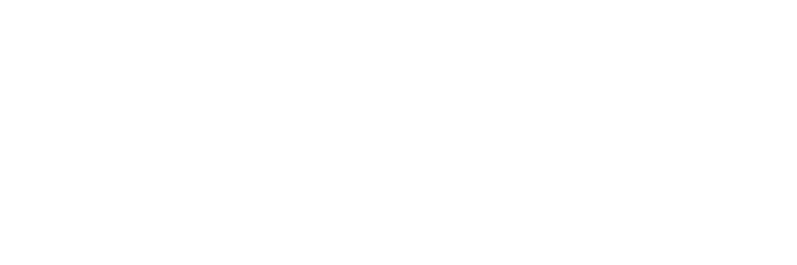 Wild Beauty logo